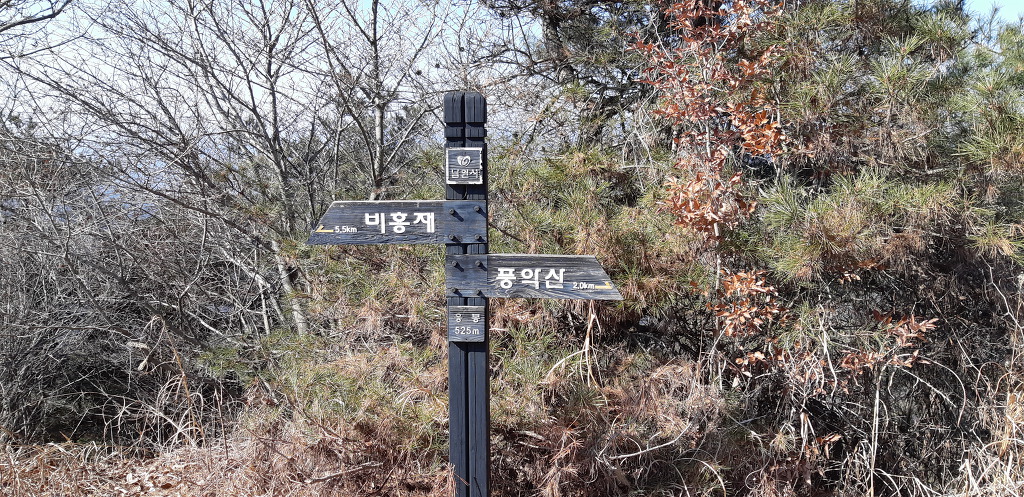 응봉 정상 이미지