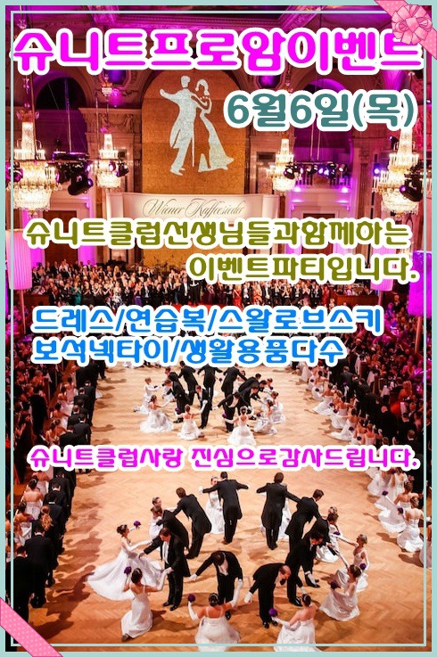 슈니트 이미지