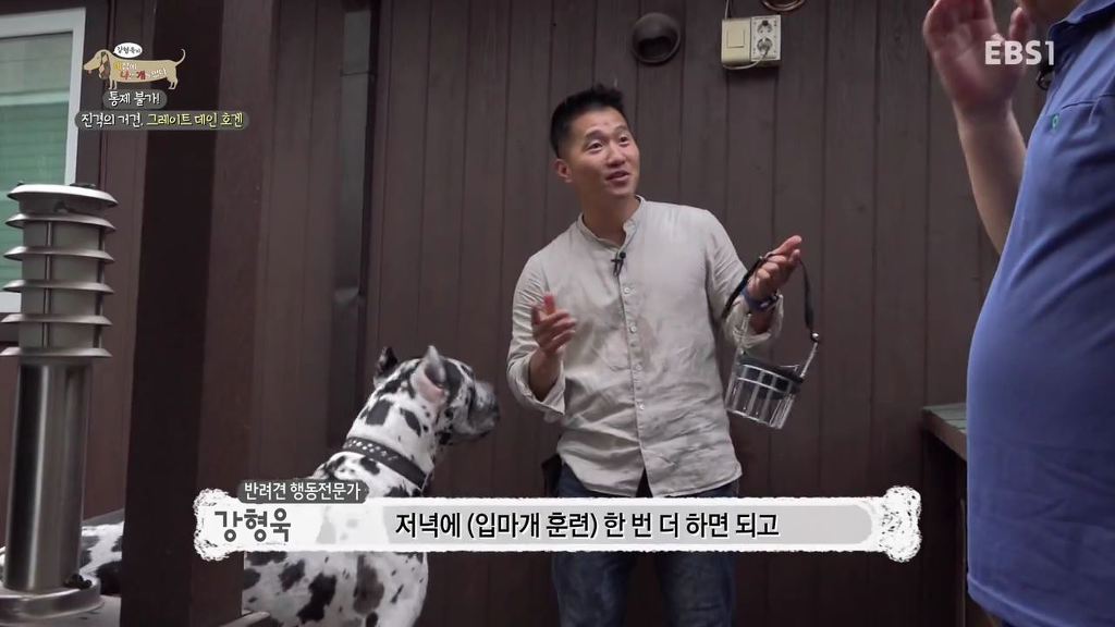 반려견의 입마개 거부감 없애는 팁 .gif | 인스티즈