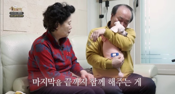 [세나개] 여러분에게 노견은 어떤 의미인가요? | 인스티즈