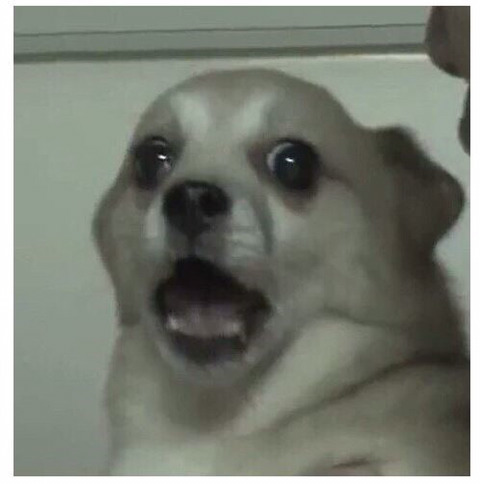 온지 이미지