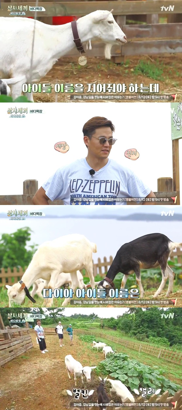삼시세끼 이서진의 네이밍 센스 ㅋㅋㅋㅋ | 인스티즈