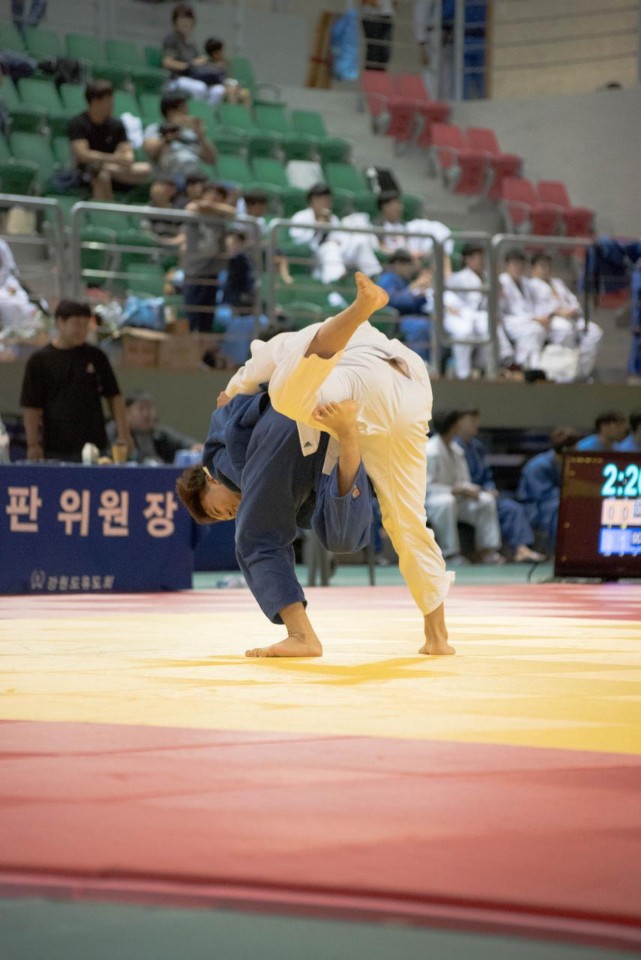 유도리 이미지