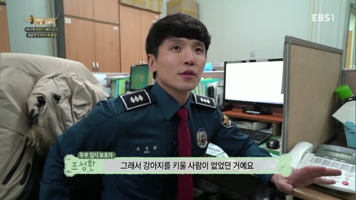 [세나개] 시도때도 없이 마운팅하고 똥을 먹는 두부의 문제 행동 고치기 -1.jpg | 인스티즈