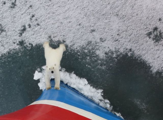 더 이상 오지마요.jpg | 인스티즈