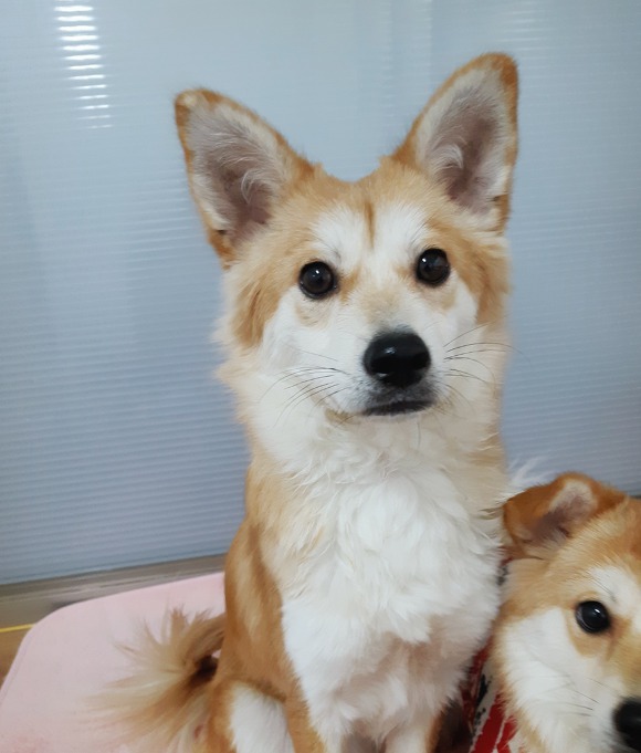 단비 이미지