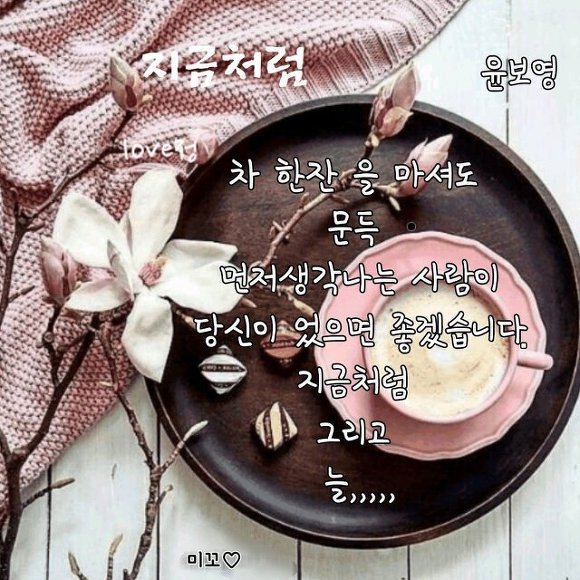 하얀코끼리 이미지