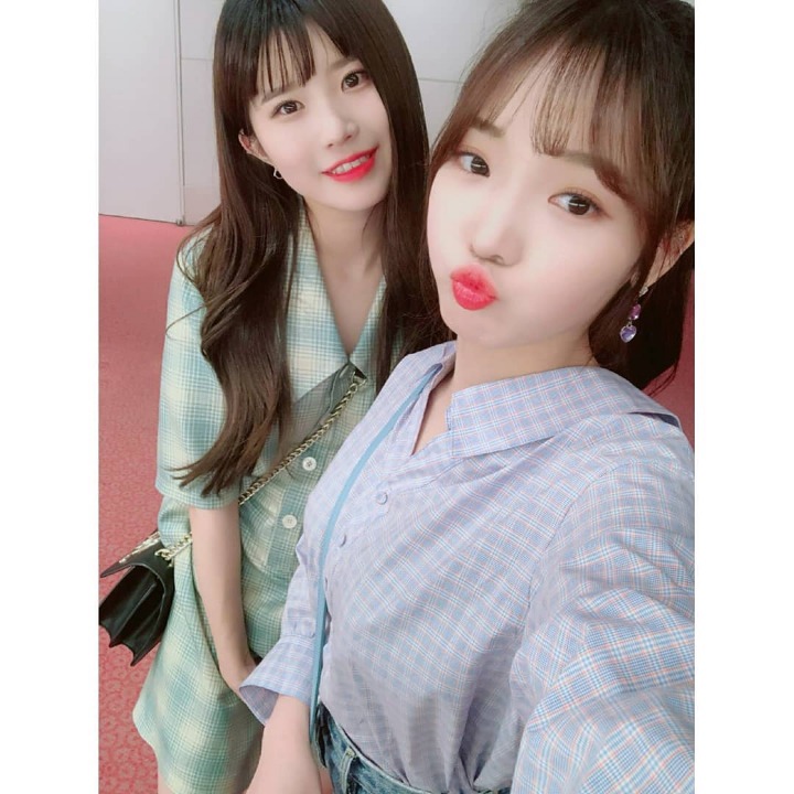 송하 이미지