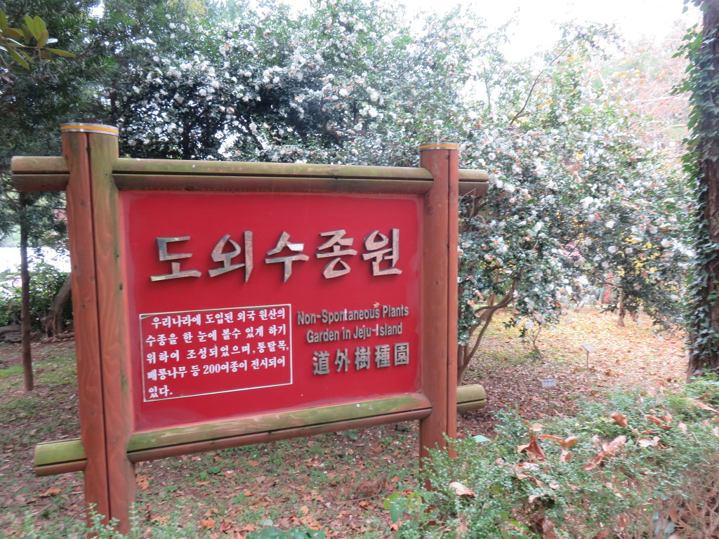 귀일중학교 이미지