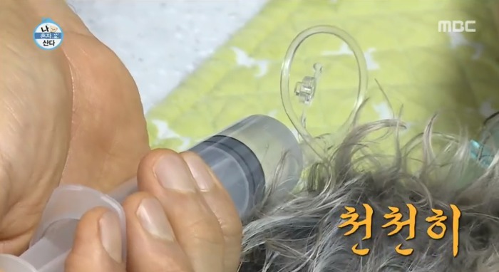 [나혼자산다] 전현무와 17살 반려견 또또 이야기.jpg | 인스티즈