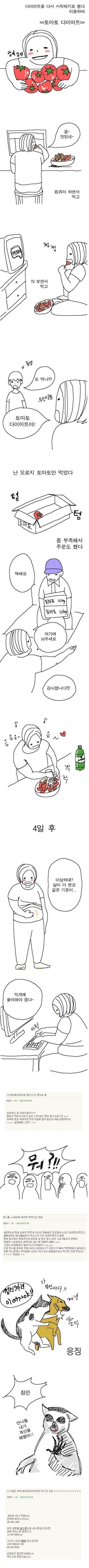 토마토 다이어트 | 인스티즈