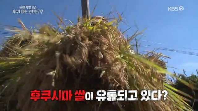 일본산 식품 먹지 않고 일본 여행 가지 않는게 좋은 이유 | 인스티즈