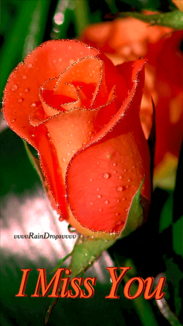 당신의 재치에 감탄하며 놓고가는 움짤 모음.gif | 인스티즈