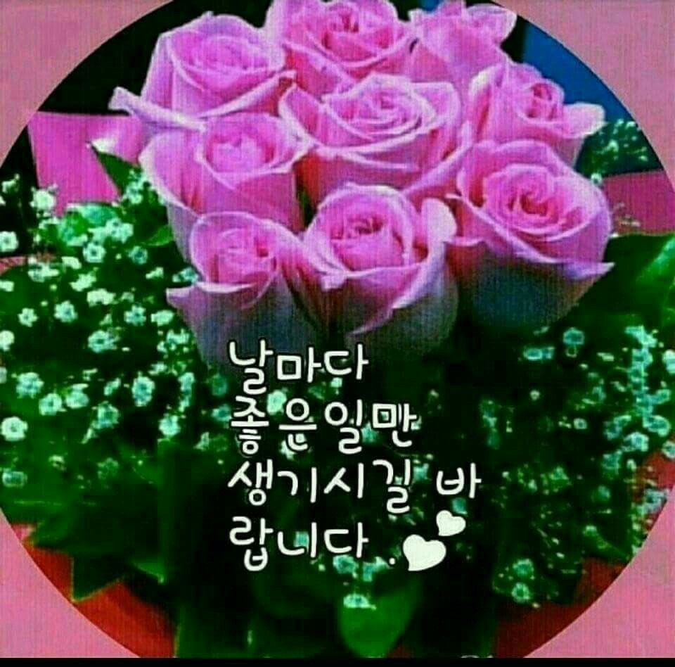 미움 이미지