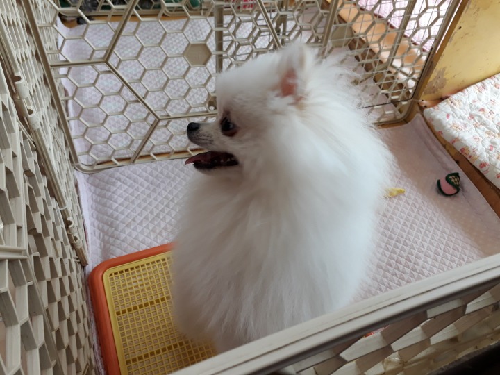 호텔루이 이미지