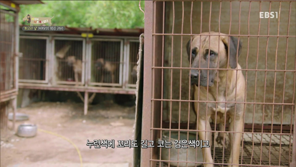 어떻게 그럴 수가 있을까요? 어떻게 사람을 그렇게 좋아할 수 있죠? | 인스티즈