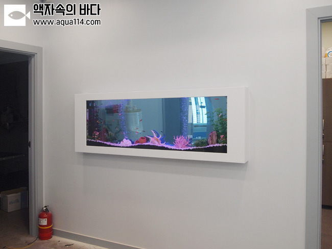 준소아청소년과의원 이미지