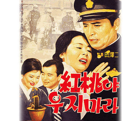 홍도야울지마라 이미지