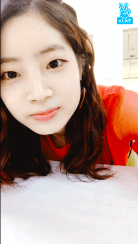 특이점이 온 트와이스 V앱 .gif | 인스티즈