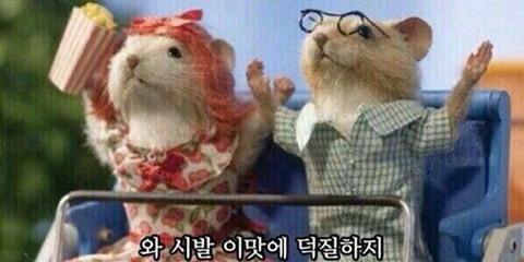 꾸덕꾸덕 크림떡볶이를 만들어보자!! | 인스티즈