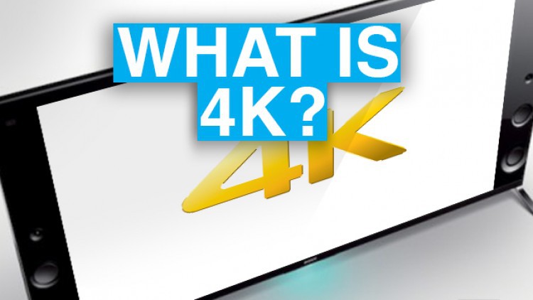 코끼리님. 4K가 도대체 뭐에용??? | 인스티즈