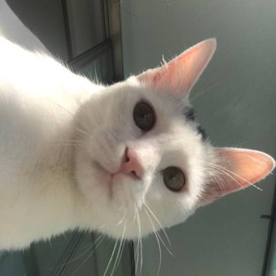 낑낑대며 악몽에 시달리고 있을때 누군가 나를 깨워졌다 | 인스티즈