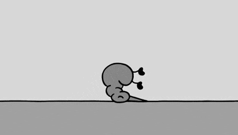 키위새로 보는 중독의 무서움.gif | 인스티즈