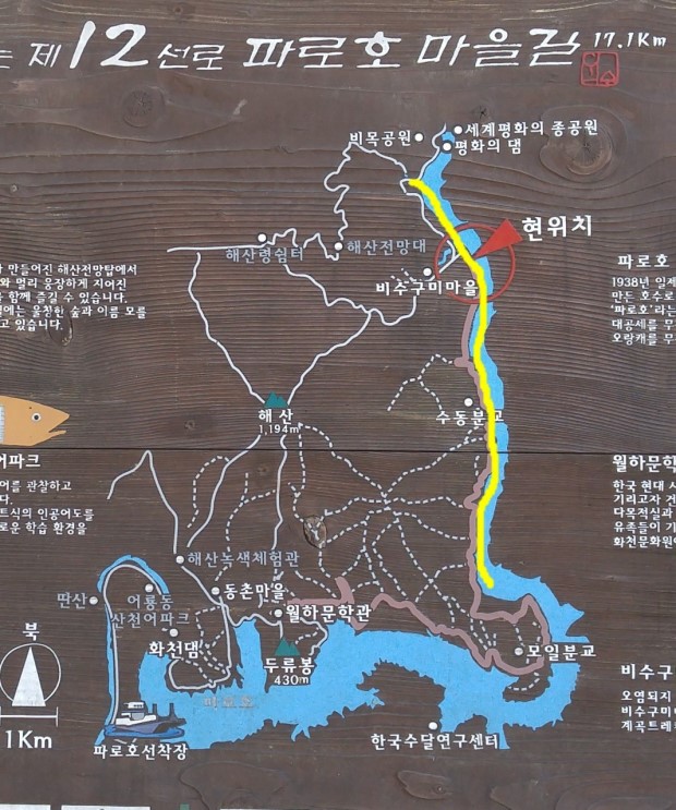 동영관광(주) 이미지