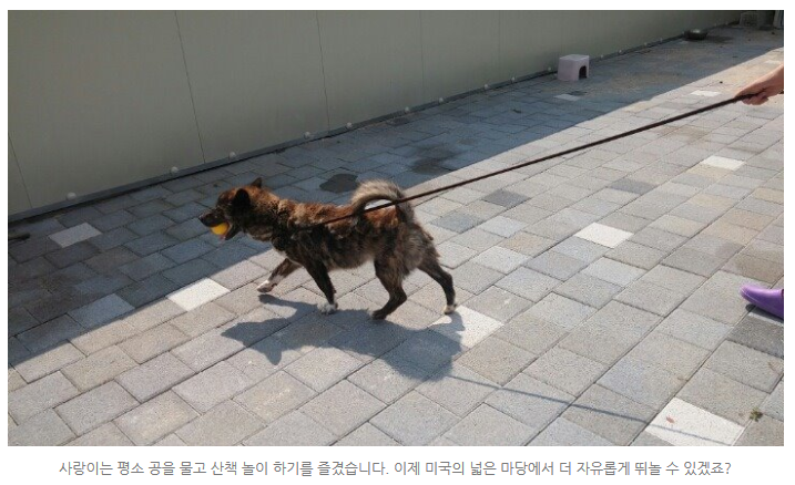 공감 이미지