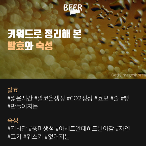 발효와 숙성의 차이? - 맥주 이야기 | 인스티즈