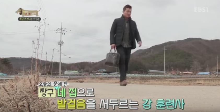 관리 못하겠으면 키우지도 마라 | 인스티즈