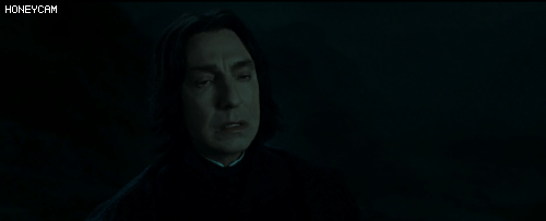 주관적인 영화 해리포터 시리즈 중 역대 최고의 명장면 | 인스티즈