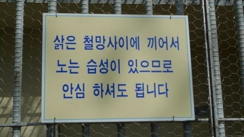 사이에 이미지