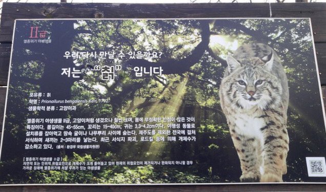 네덜란드 가수 자지의 한국음료 도전기 | 인스티즈