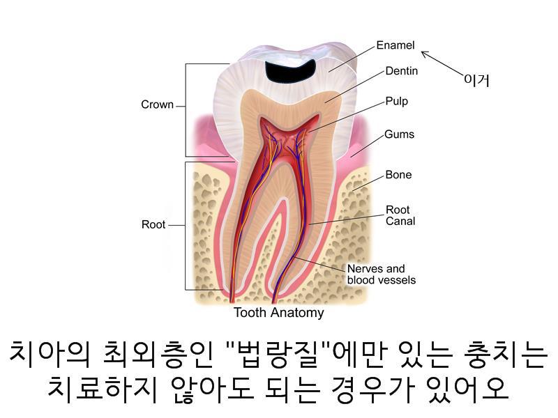 안녕하세오 치과의사에오 | 인스티즈