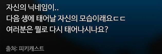 현재 닉네임이 다음 생에 태어날 자신의 모습 | 인스티즈