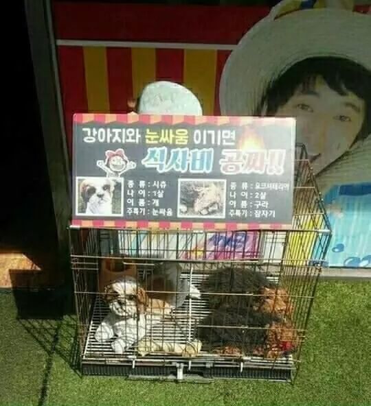 소비자 대놓고 우롱하는 음식점 사장님 | 인스티즈