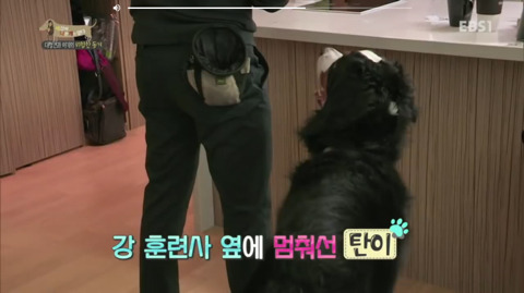 지리는 강아지 강씨 강형욱 훈련사님의 위엄 | 인스티즈