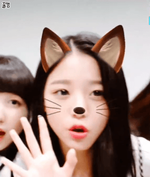 아이즈원 v앱 막내 장원영 .GIF | 인스티즈