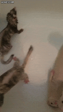 포기하면 편해.gif | 인스티즈