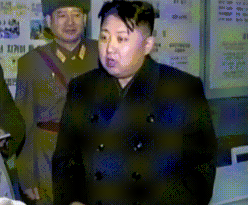 잠에서 깼는데 이만한 돼지가 있었는데 | 인스티즈