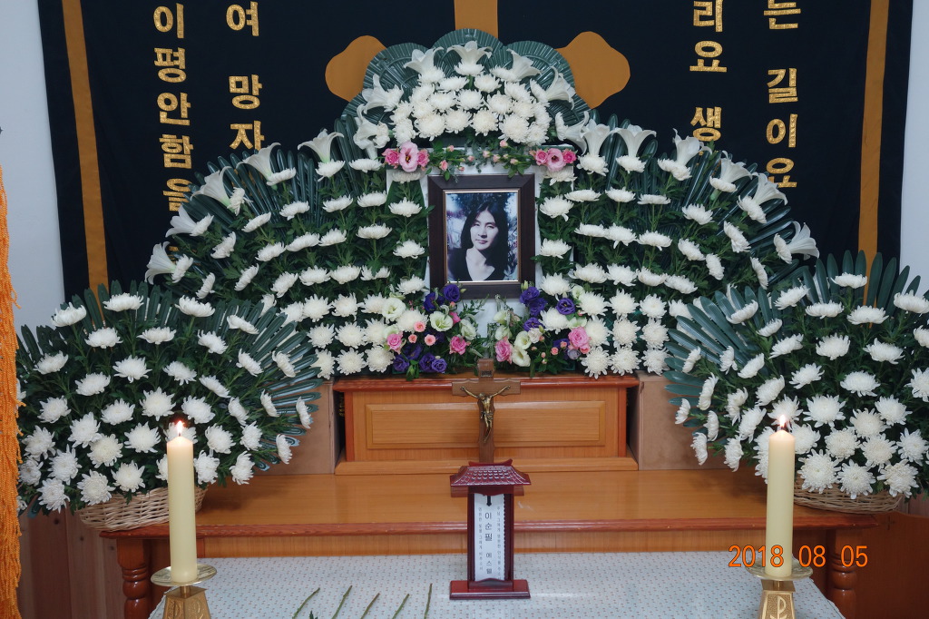 에스텔 이미지