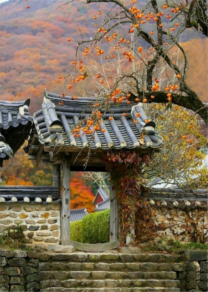 후생 이미지