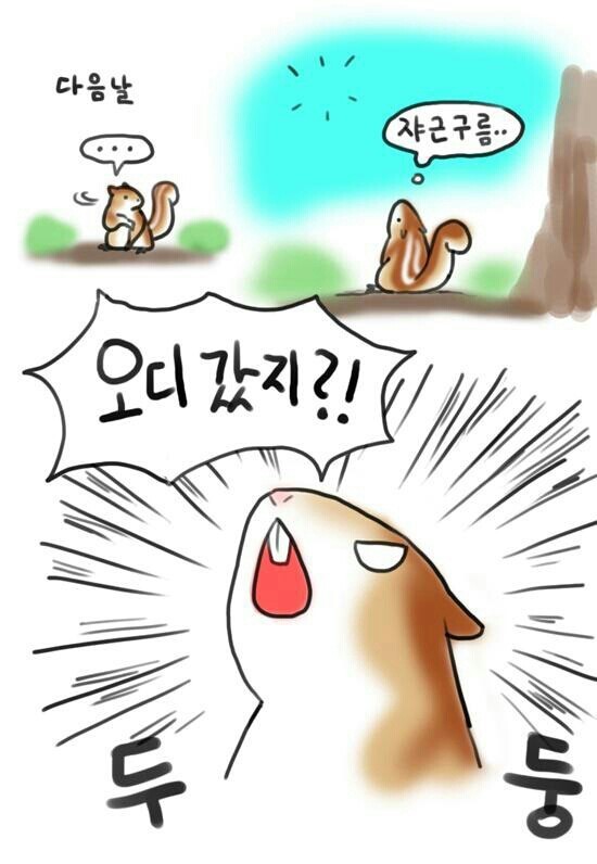 다시봐도 귀여운 도토리 숨기는 다람쥐 만화 | 인스티즈