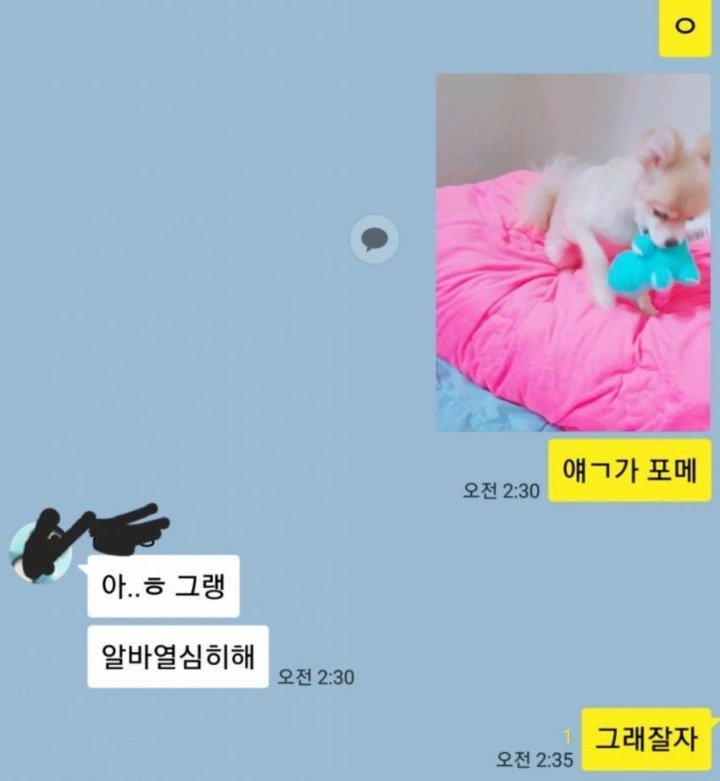 오늘자 디씨 카톡 대참사.. | 인스티즈