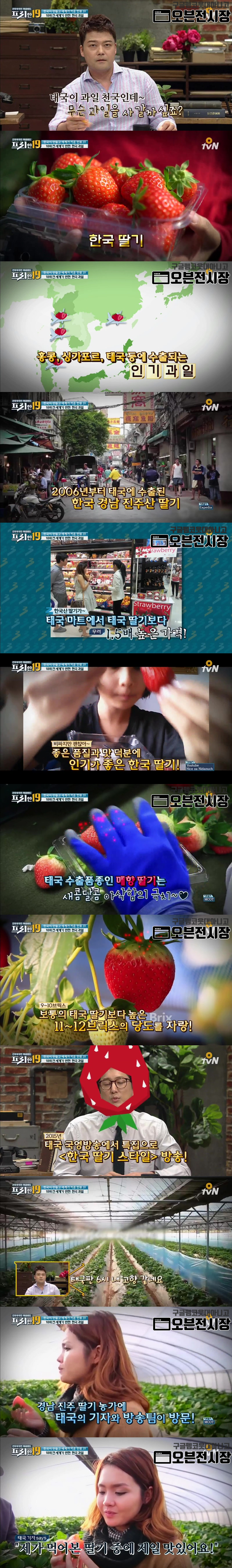 과일 천국 태국인들을 사로잡은 한국 과일.jpg | 인스티즈