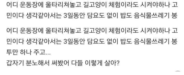 는 고양이한테 상처받앗다.. | 인스티즈