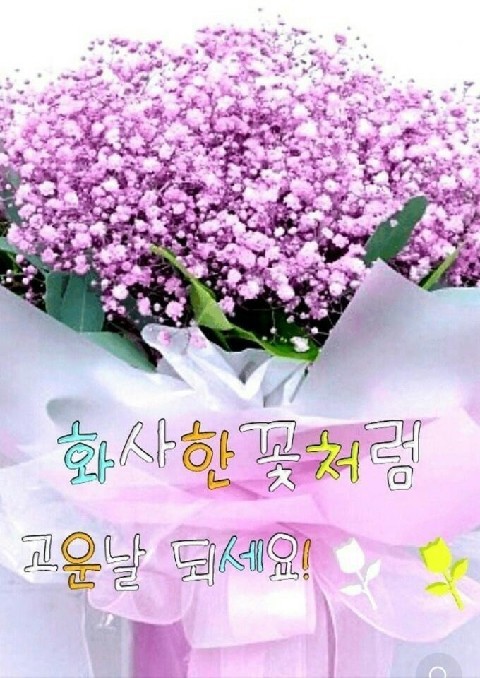 가넷 이미지