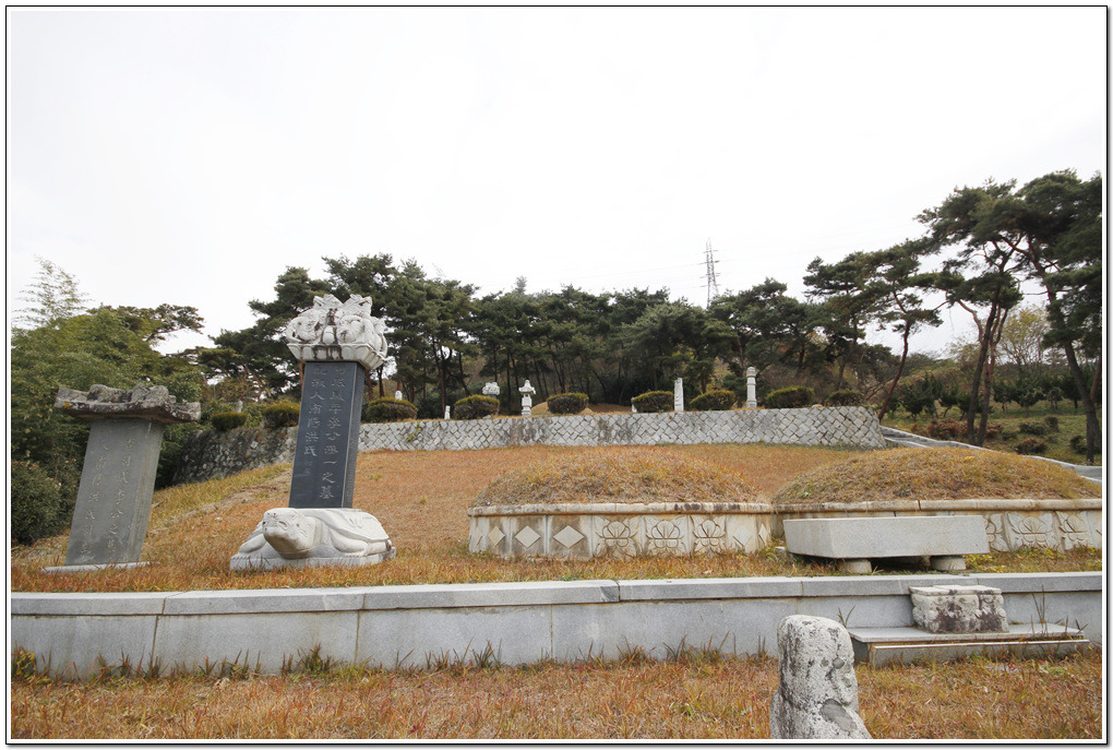 시제 이미지