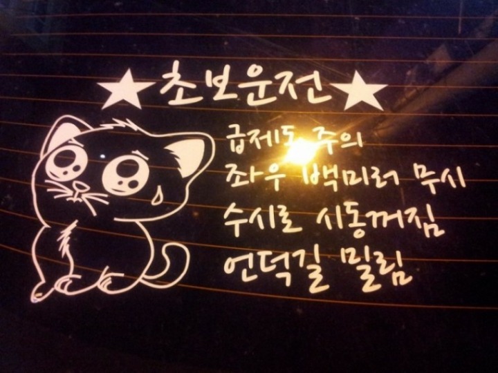불쾌한 초보운전 딱지.JPG | 인스티즈